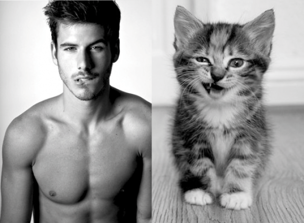 hunk-and-cat