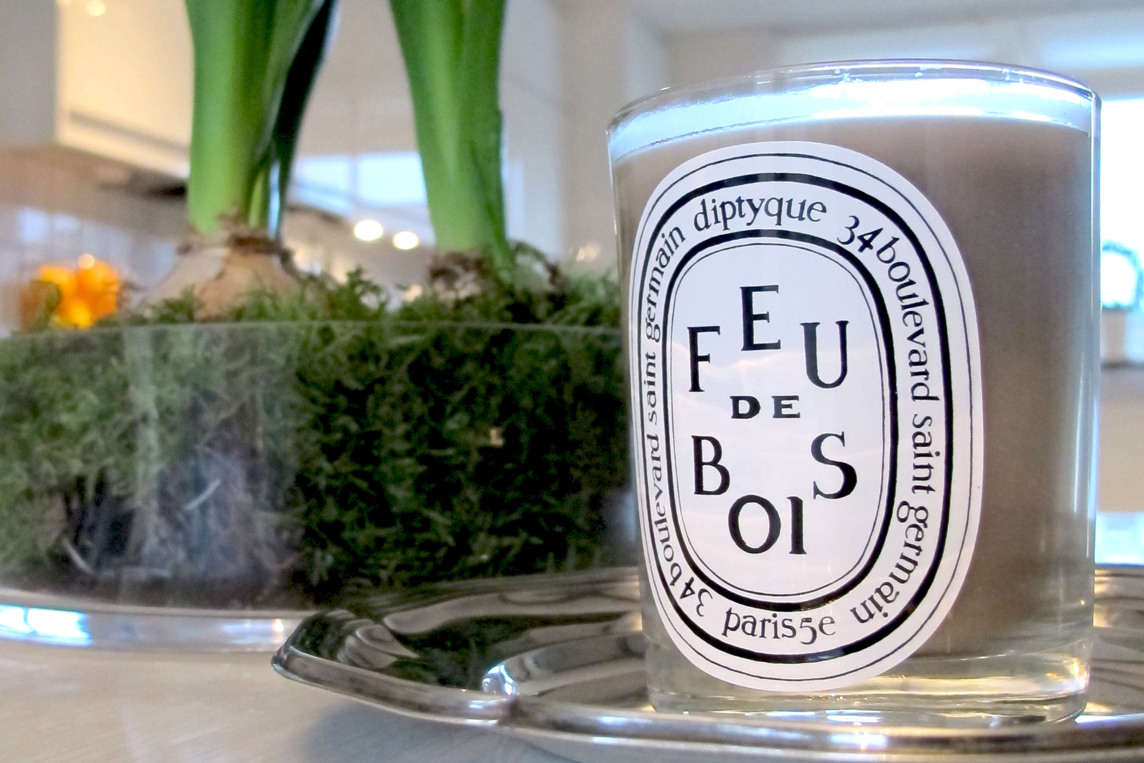 Diptyque scented candle Feu de Bois